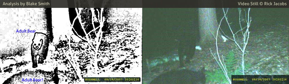 Trail Cam photo (right) taken by Rick Jacobs. Additional Analysis material (left) by Blake Smith (doctoratlantis@gmail.com).