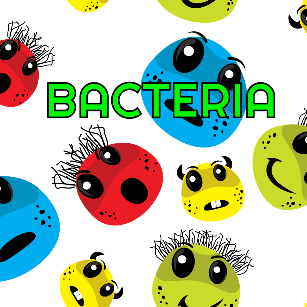 232 – Bacteria