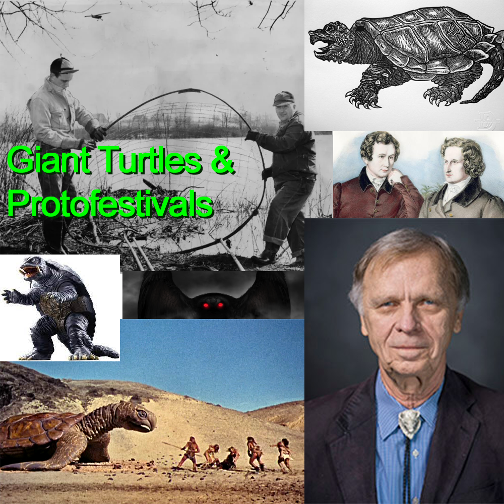 260 – Giant Turtles & Protofestivals