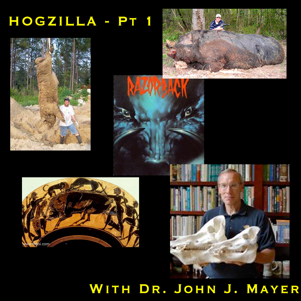 S03E06 – Hogzilla part 1