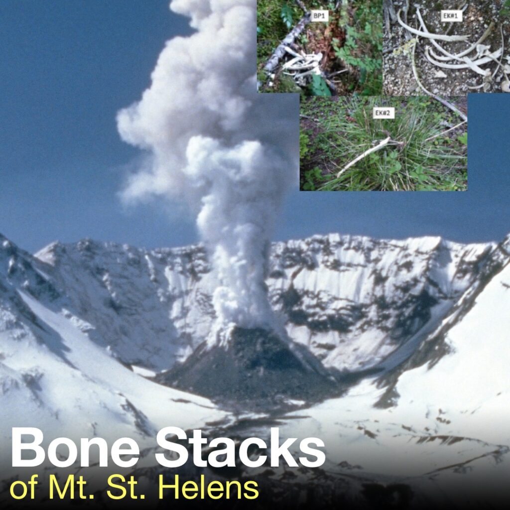 S03E30 – Bone Stacks of Mt. St. Helens