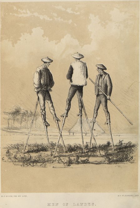 stilts - a tall tale?